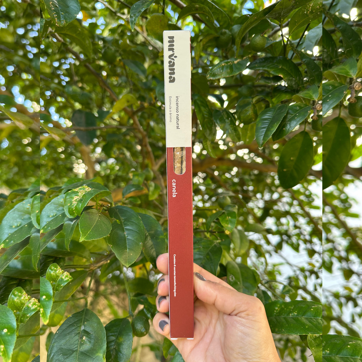 Incenso CANELA Nirvana natural.