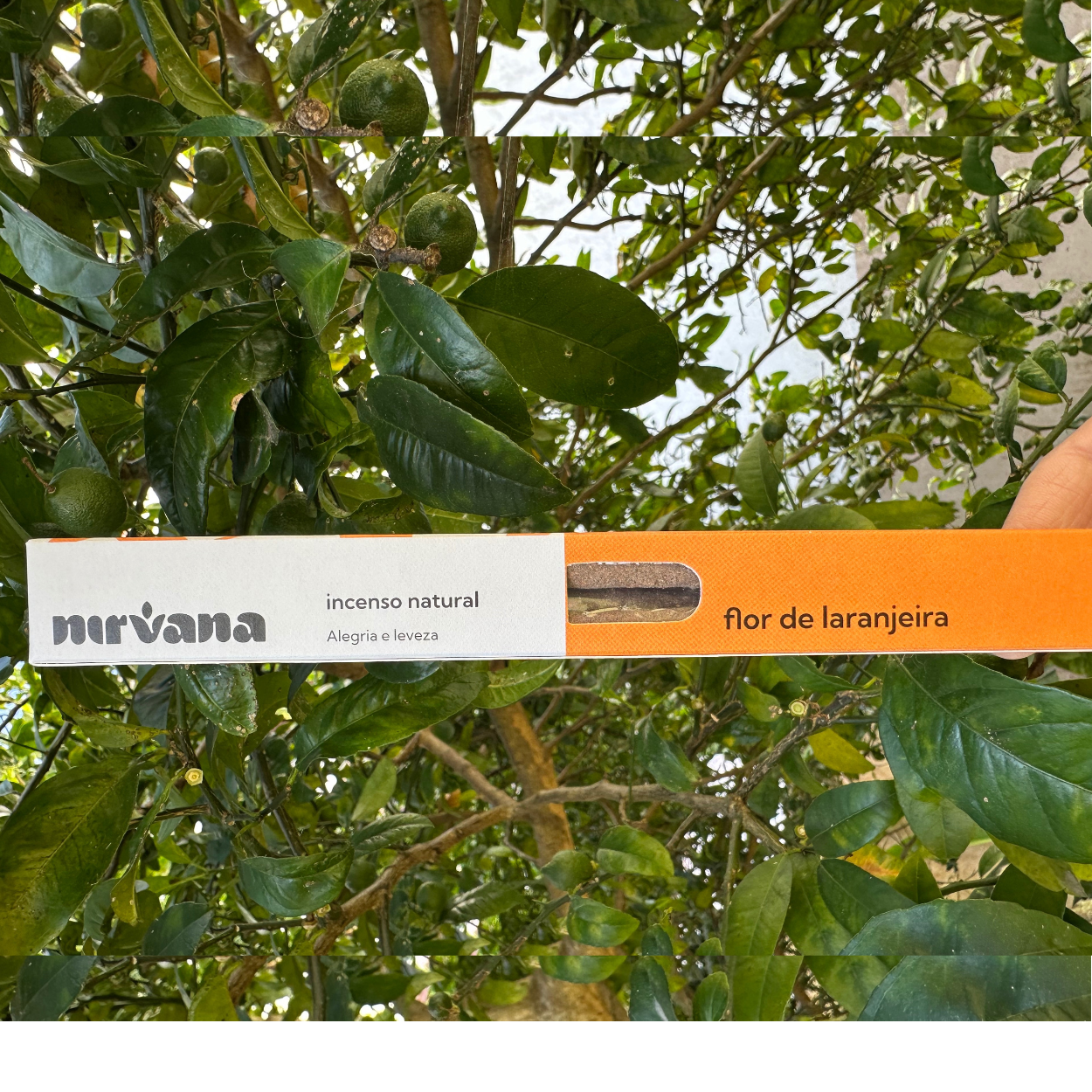 Incenso FLOR DE LARANJEIRA Nirvana natural.